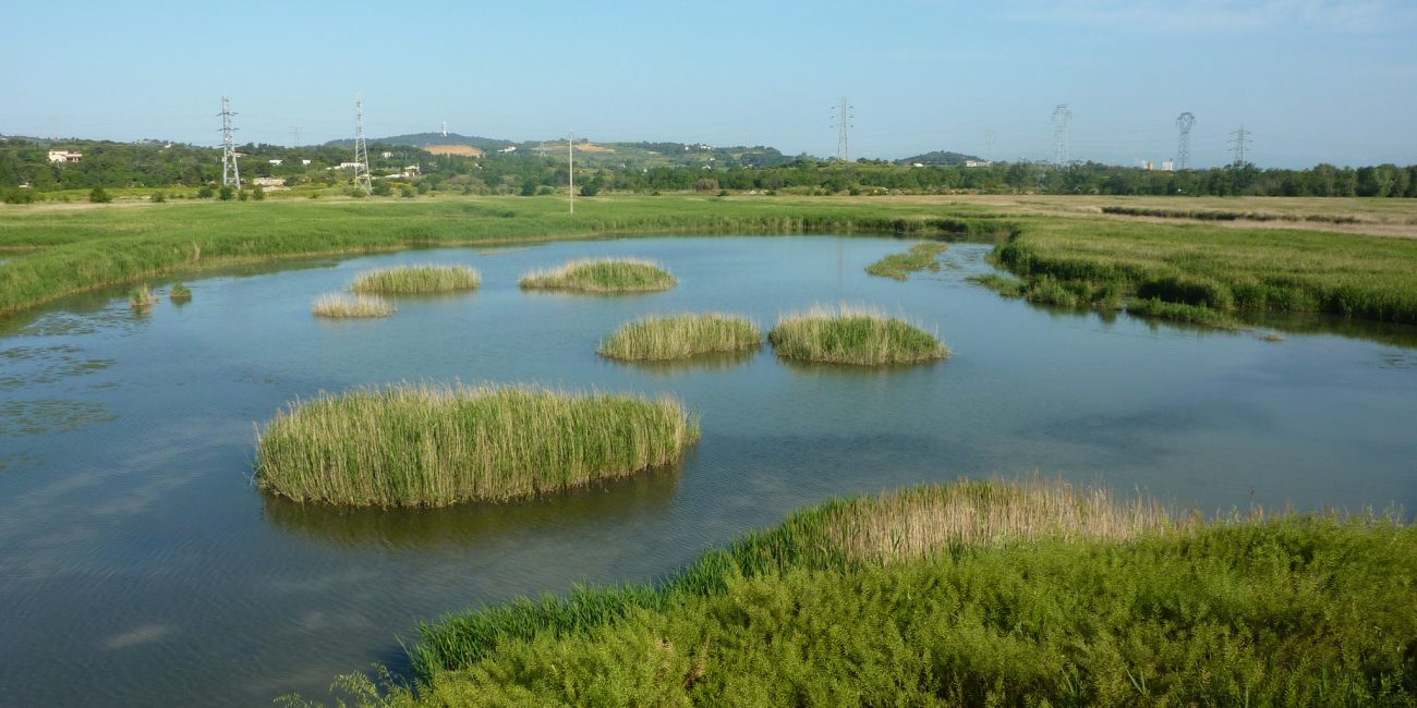 Zone humide, Narbonne