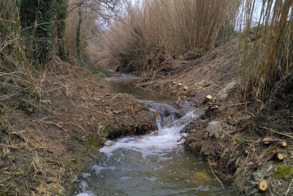 Travaux sur le Rieu à Roquefort-des-Corbières