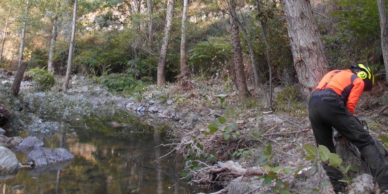 Travaux réalisés sur la Clamoux