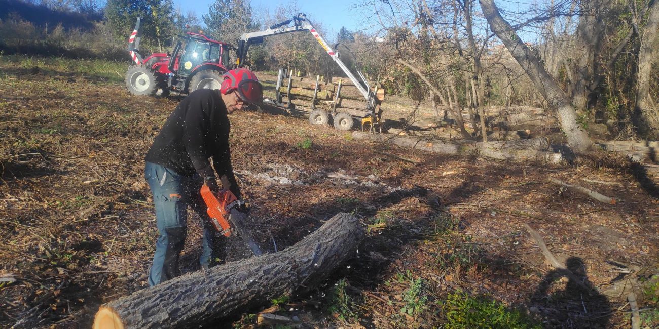 Travaux, St Polycarpe