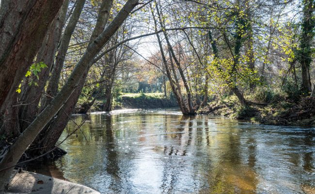 Rougeanne, Moussoulens